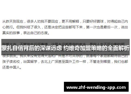 蒙扎自信背后的深谋远虑 约维奇加盟策略的全面解析